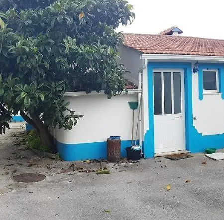 Charming House In With Shared Pool Hébergement de vacances Pataias