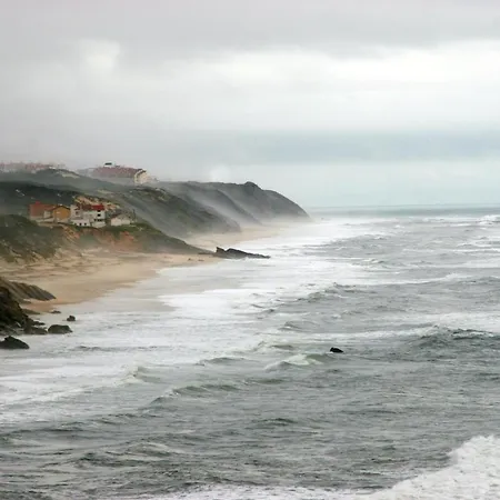 Charming House In With Shared Pool Pataias